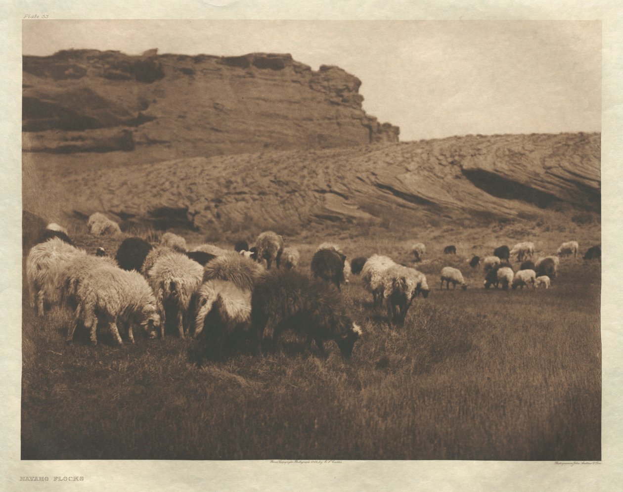 Portfolio I, płyta 33: Stada Navaho autorstwa Edward S. Curtis