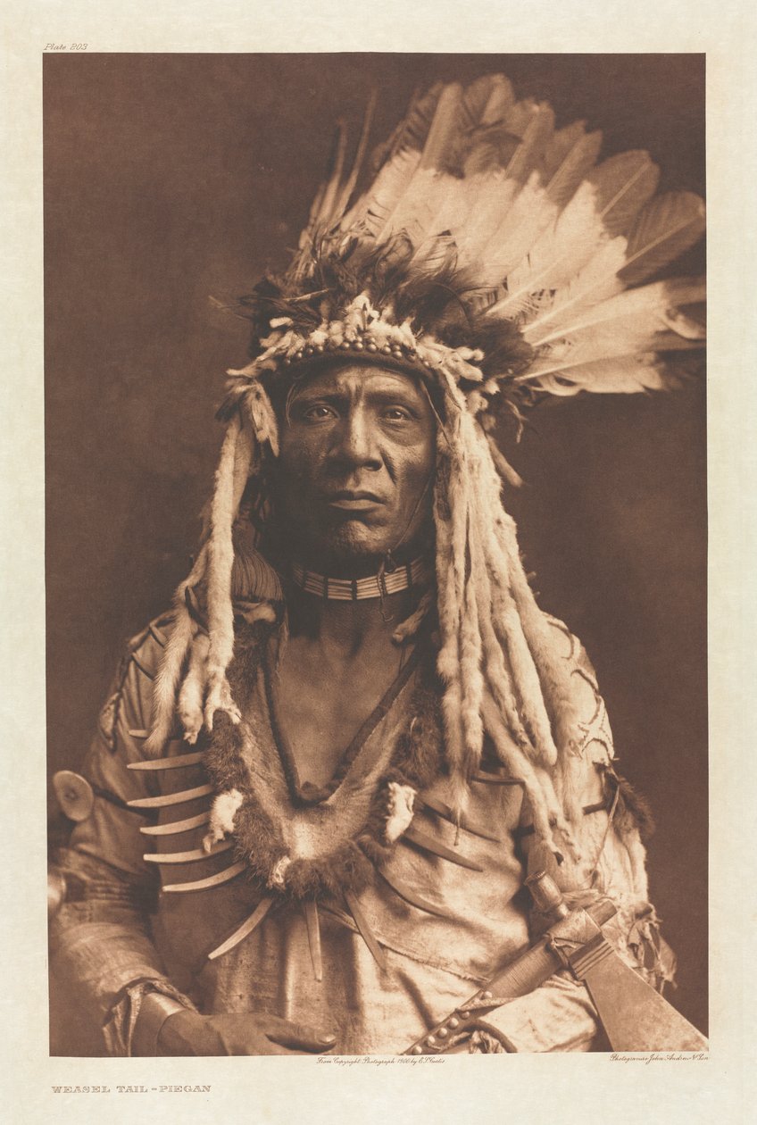 Portfolio VI, Płyta 203: Ogon łasicy - Piegan autorstwa Edward S. Curtis