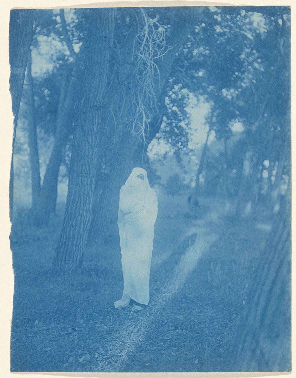 Czekając w lesie – Cheyenne autorstwa Edward S. Curtis