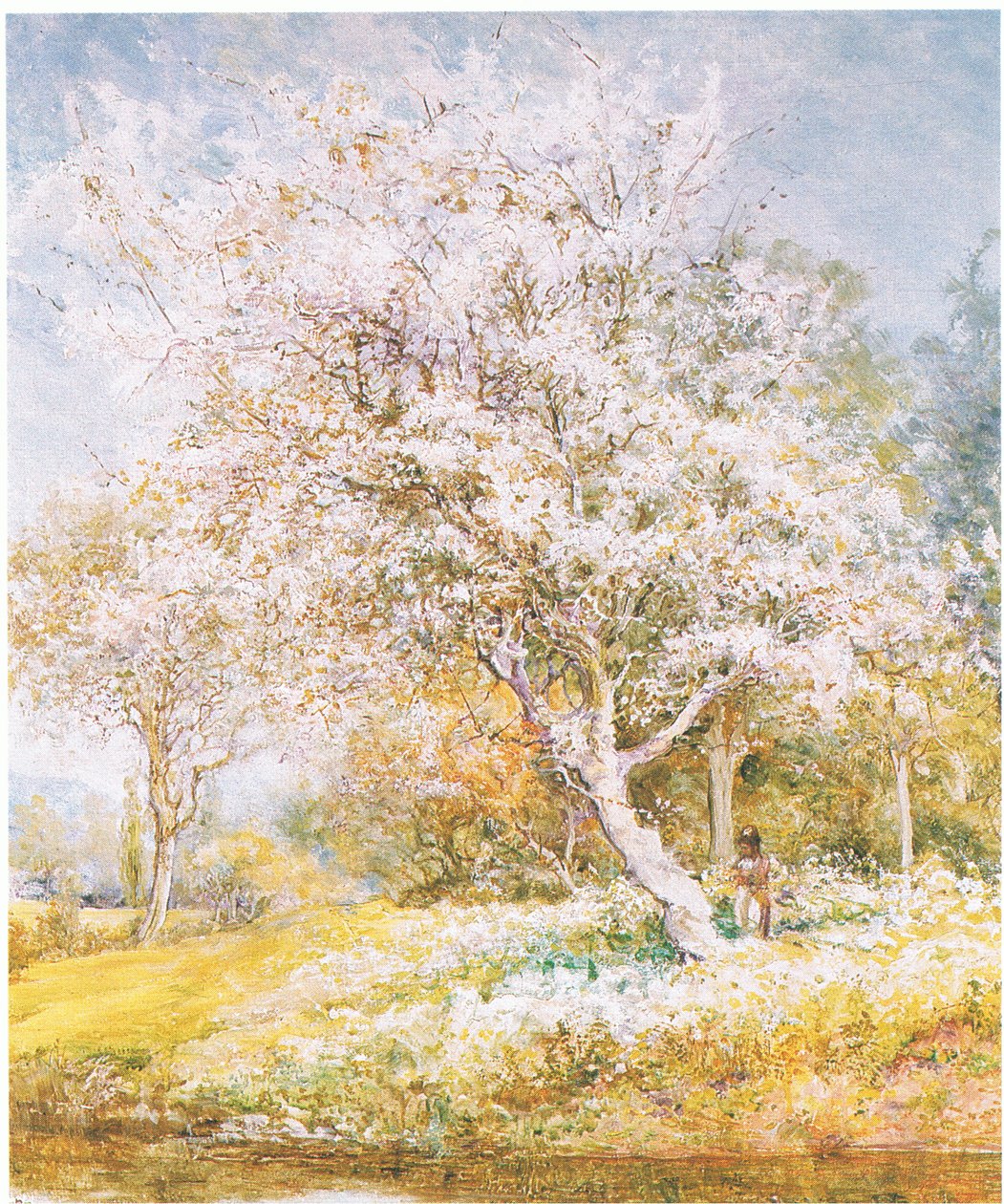 Zbieranie kwiatów, z nieznanego źródła czasopisma lub książki (kolor lito) autorstwa Edward Samuel Harper