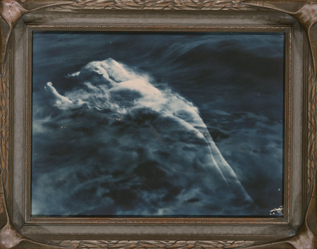 Afrodyta (W wodzie) 1920-25 (błękitna odbitka żelatynowo-srebrowa) autorstwa Edward Sheriff Curtis