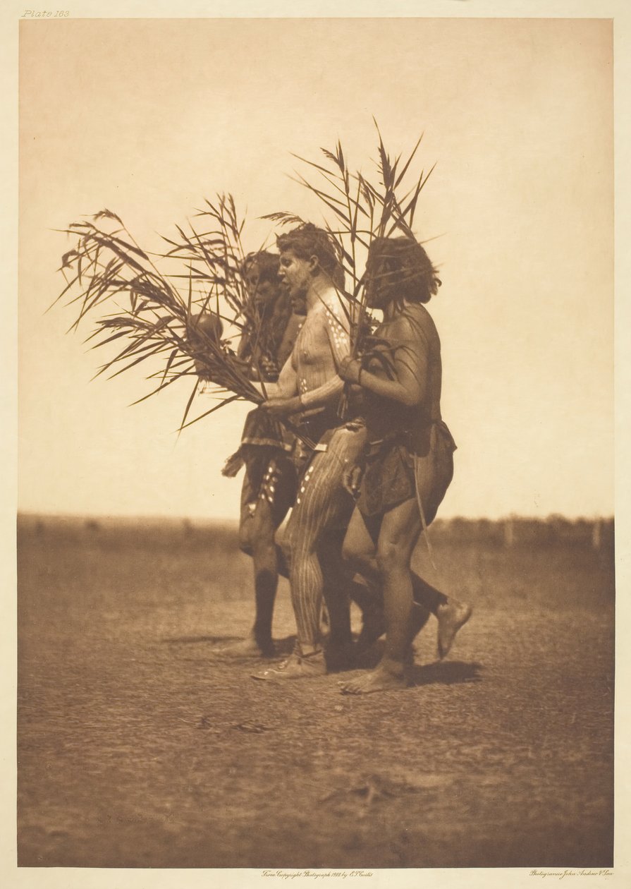 Ceremonia Medyczna Arikara - Kaczki, 1908. autorstwa Edward Sheriff Curtis