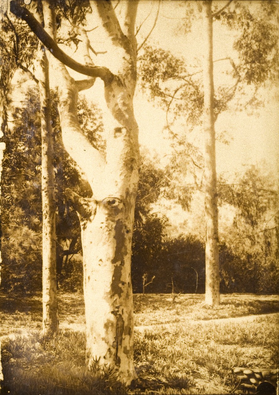 Auf dem Bauernhof, Seattle, Washington autorstwa Edward Sheriff Curtis