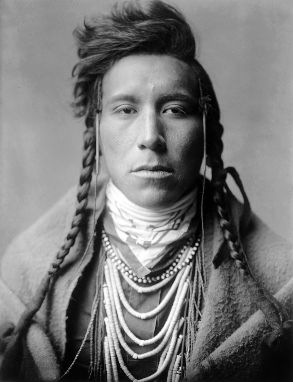 Ptak na wyżynach, Indianin Crow, Montana, USA, ok. 1908, fot. Edward S. Curtis autorstwa Edward Sheriff Curtis