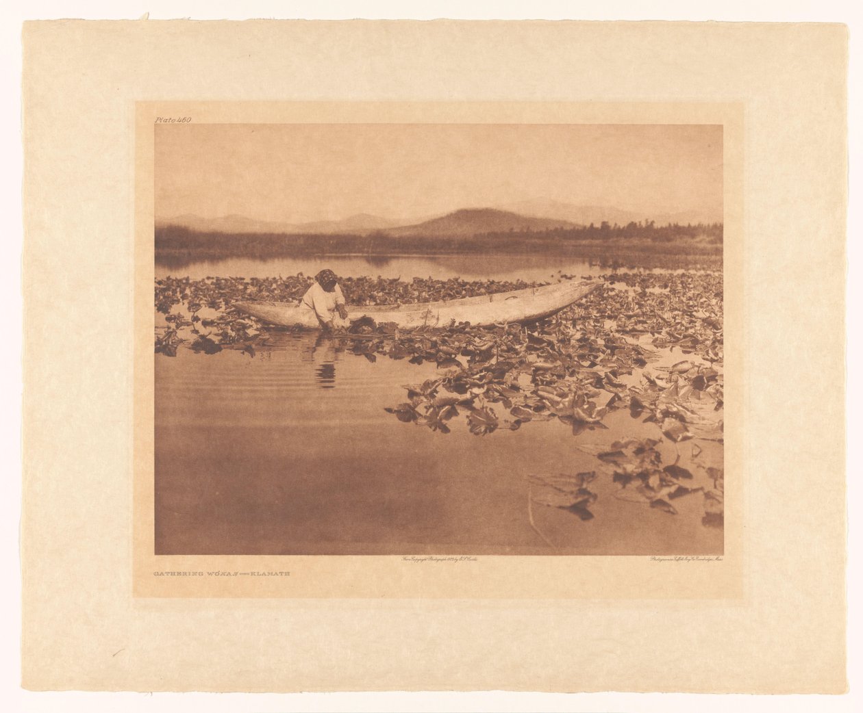 Zbieranie wokasów – Klamath autorstwa Edward Sheriff Curtis