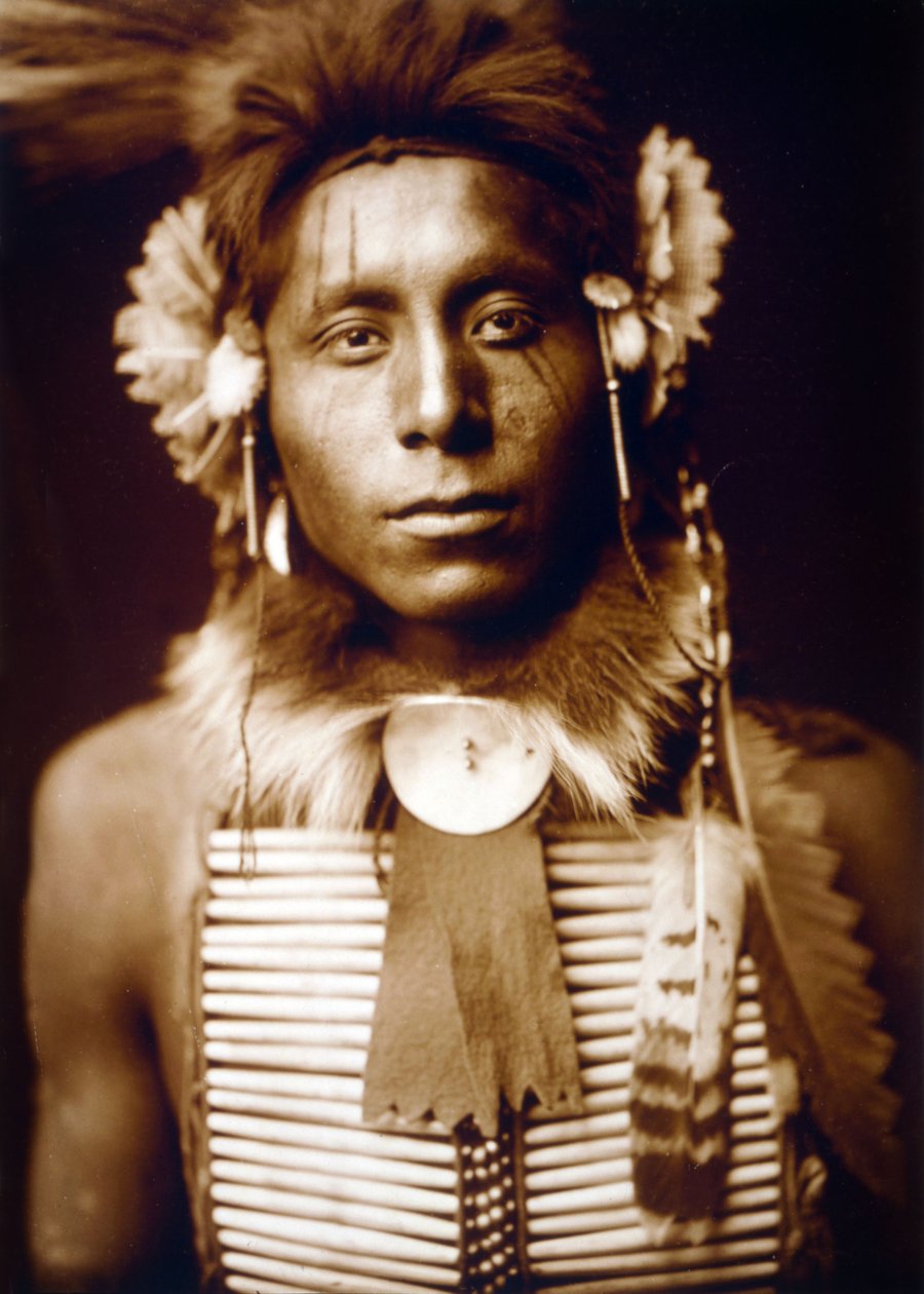 Siedzący Orzeł, Wrona, ok. 1905, fot. Edward S. Curtis autorstwa Edward Sheriff Curtis