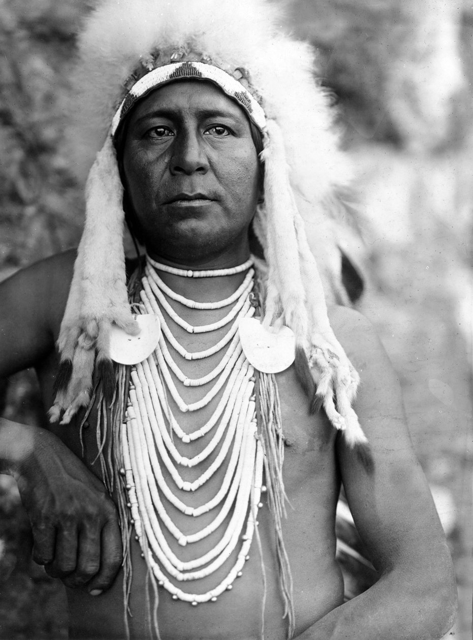 Upshaw, Apsaroke (Wrona), ok. 1905, fot. Edward S. Curtis autorstwa Edward Sheriff Curtis