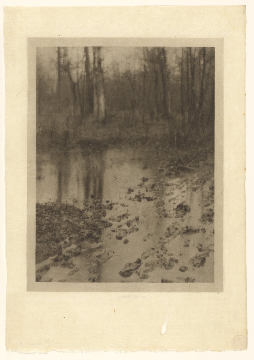 Basen autorstwa Edward Steichen