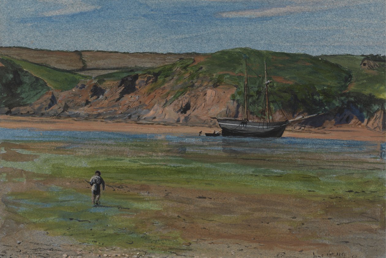 Rzeka Devon podczas odpływu, 16 czerwca 1859 r autorstwa Edward Thompson Davis
