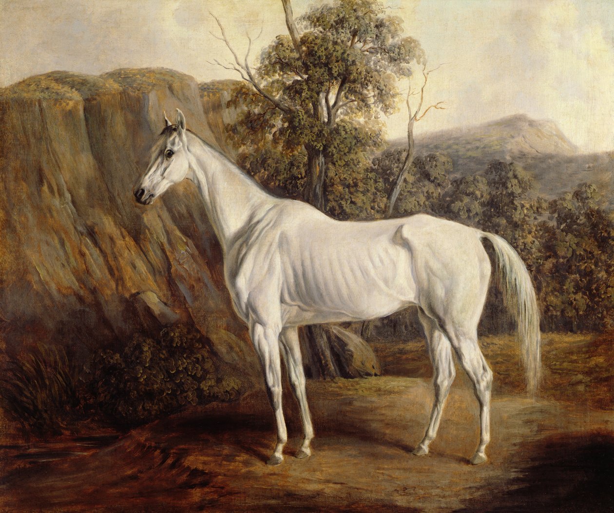 Boliwia, 1836 autorstwa Edward Troye