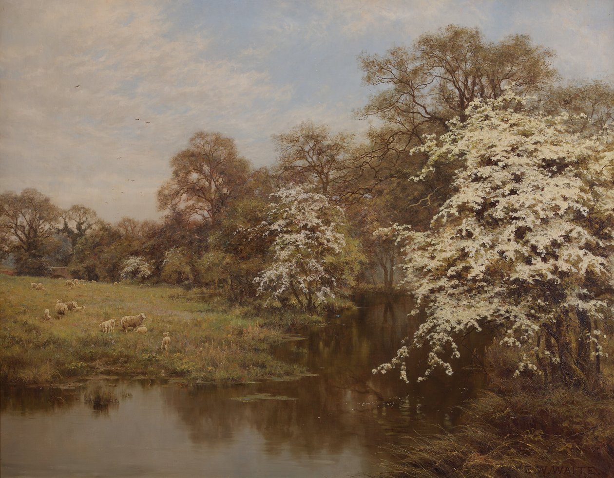 Kwiat głogu autorstwa Edward Wilkins Waite