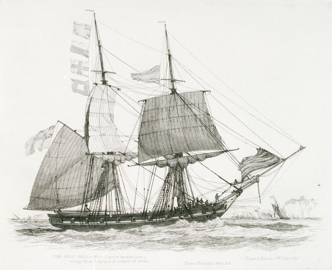 "Wolf" (1826) lub (1814), bryg wojenny należący ostatnio do Royal Navy, dający sygnał i płynący na poszukiwanie pilota u wybrzeży Dover. autorstwa Edward William Cooke