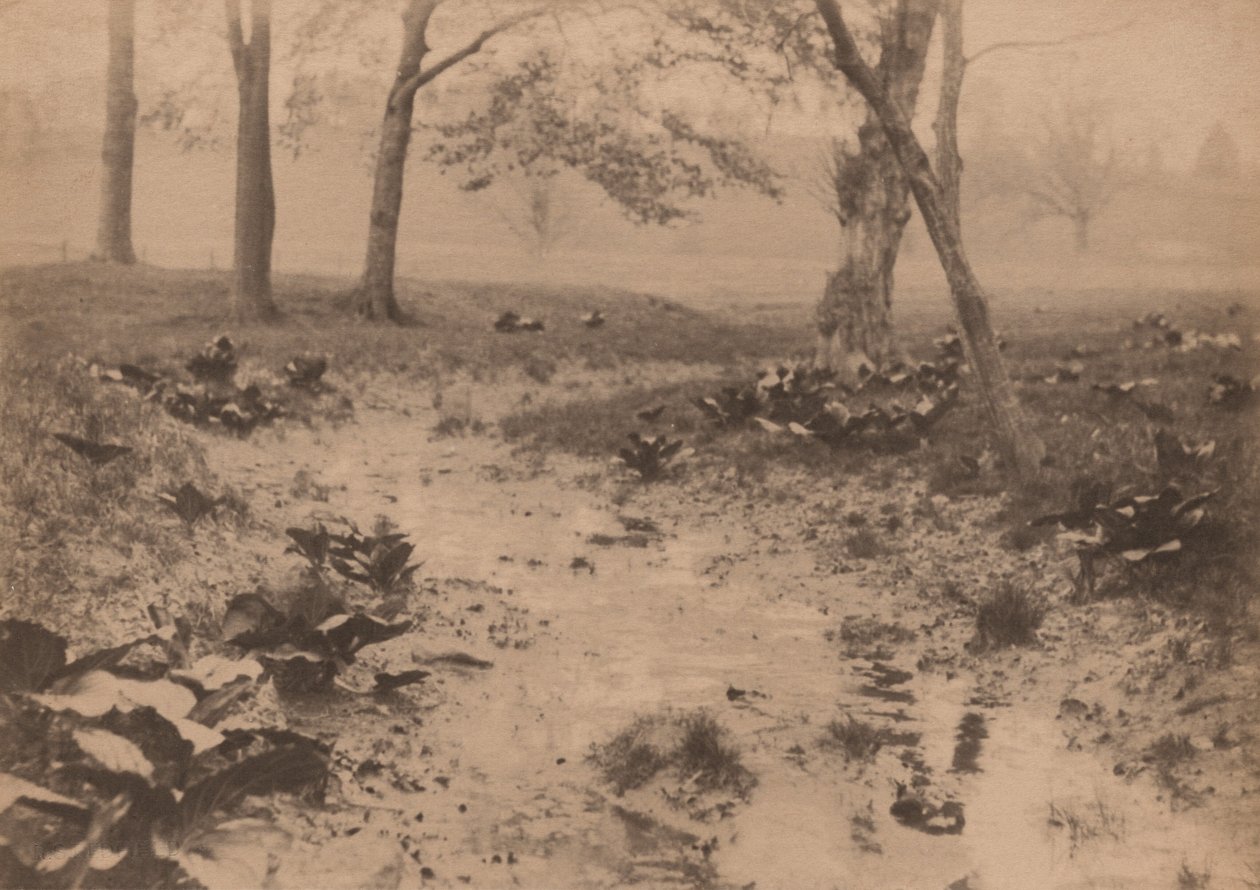 Wiosenny krajobraz, lata 1890 (zdjęcie) autorstwa Edward Willis Redfield
