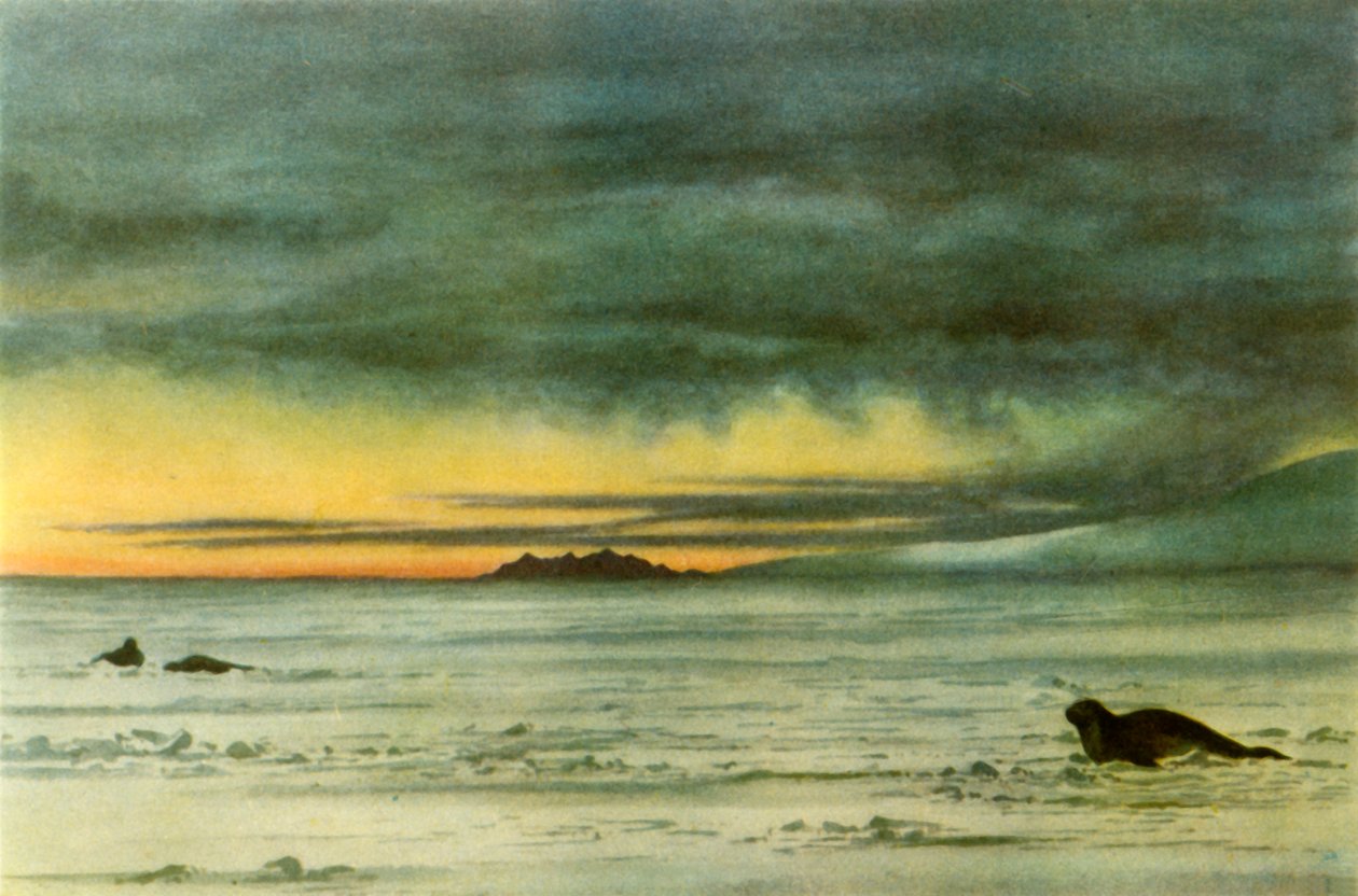 „Patrząc na północ w McMurdo Sound”, 1911, 1946. autorstwa Edward Wilson