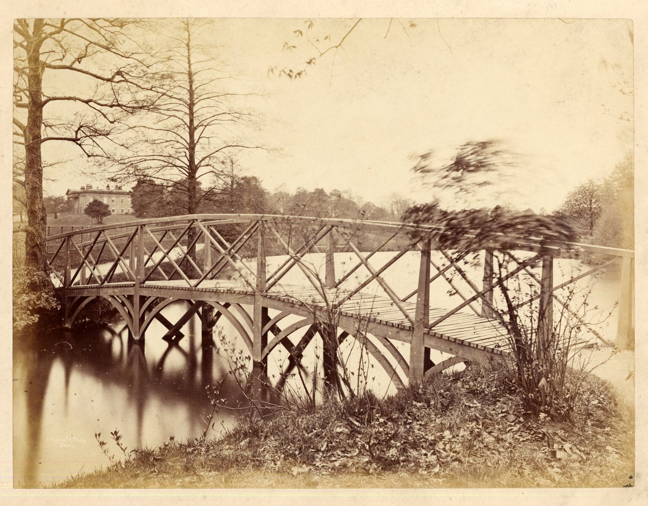 Park Roundhay (zdjęcie czarno-białe) autorstwa Edward Wormald