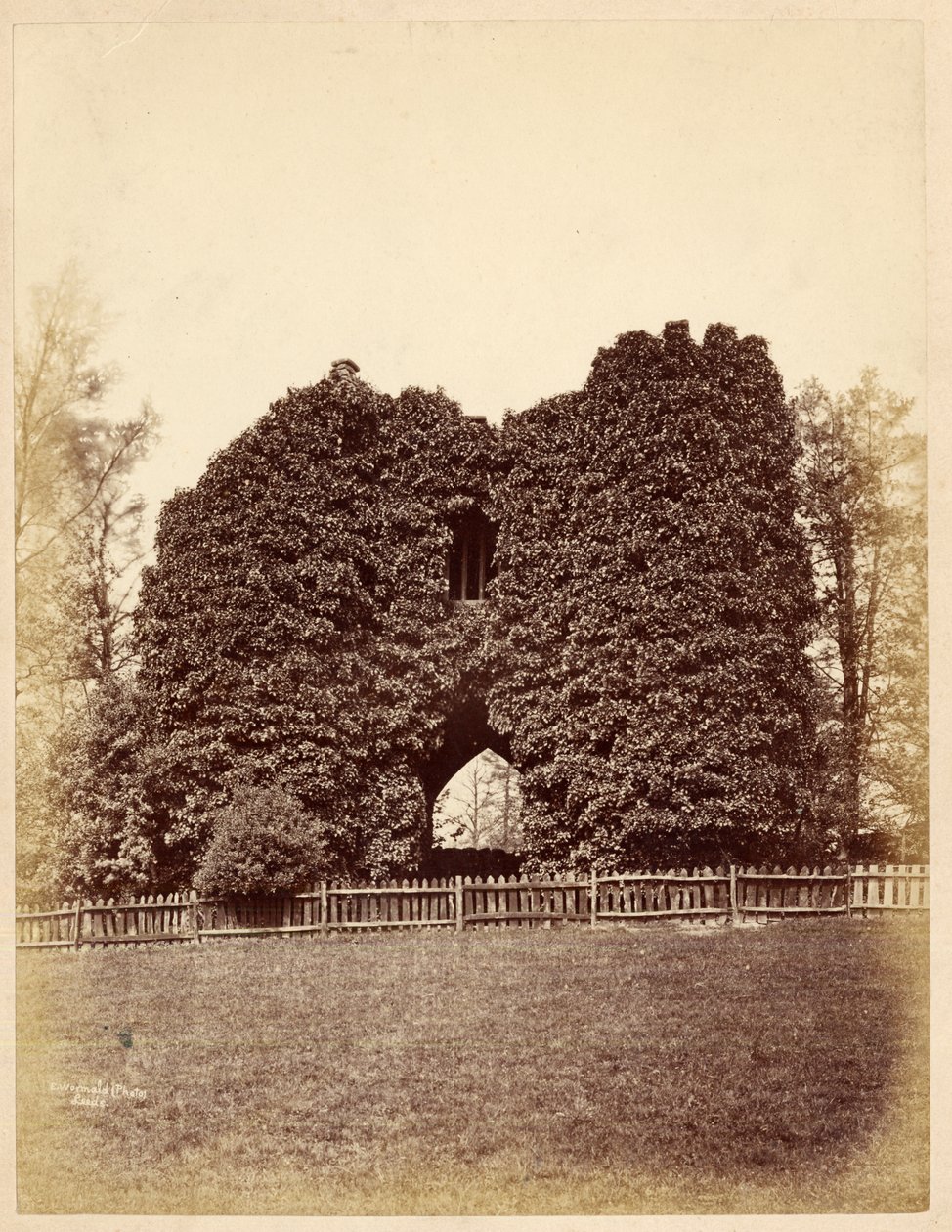 Widok szaleństwa w Roundhay Park (druk albumowy) autorstwa Edward Wormald