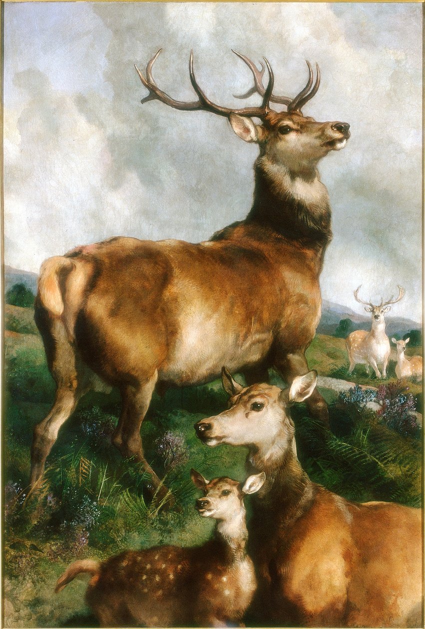 Jeleń Chillingham Park, Northumberland, c.1867 autorstwa Edwin Landseer