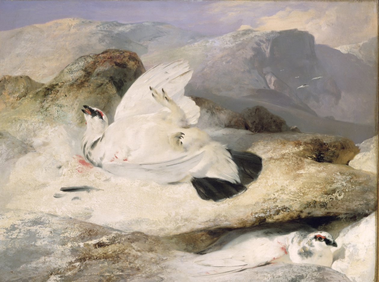 Ptarmigan autorstwa Edwin Landseer