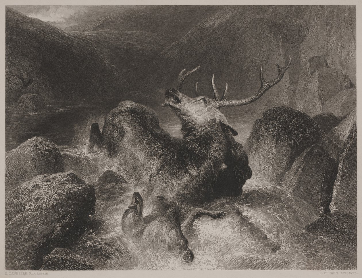 Śmierć Jelenia, ryty przez Johna Cousena (1804-80) autorstwa Edwin (after) Landseer