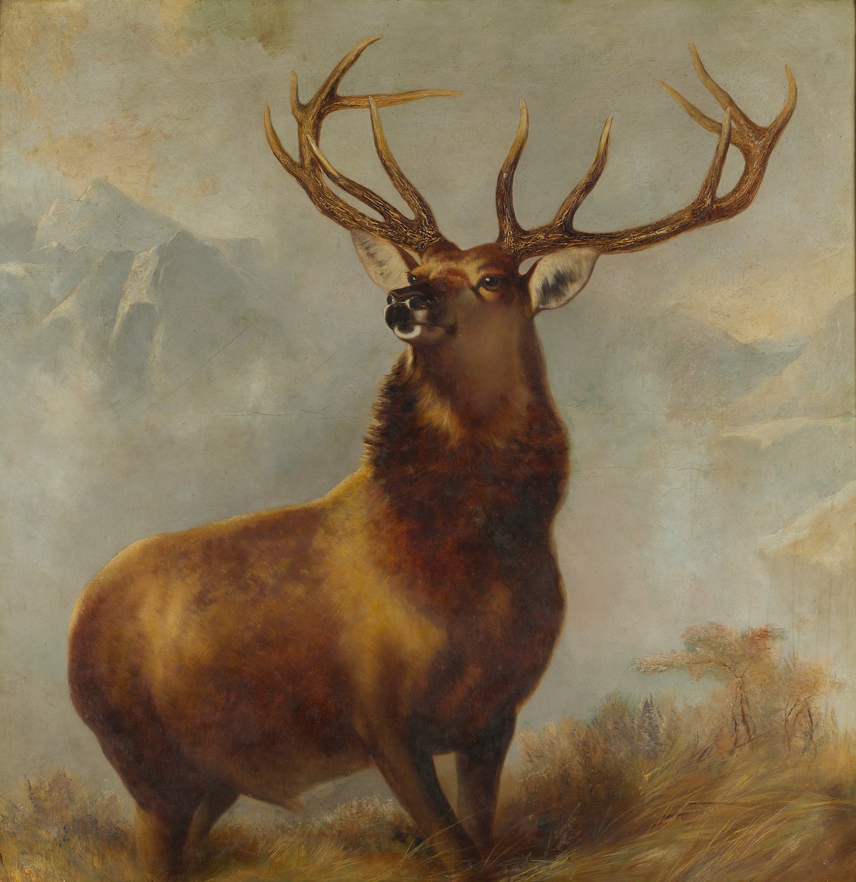 Monarch of the Glen (olej na płótnie) autorstwa Edwin (after) Landseer