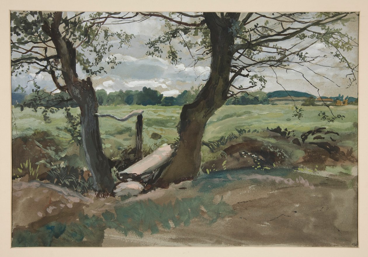 Studium dwóch drzew i pola autorstwa Edwin Austin Abbey