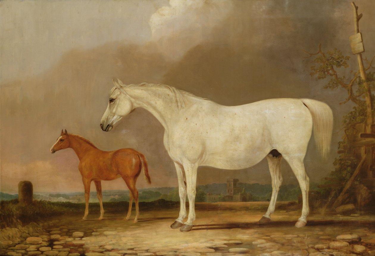 Nieznany obraz autorstwa Edwin Cooper