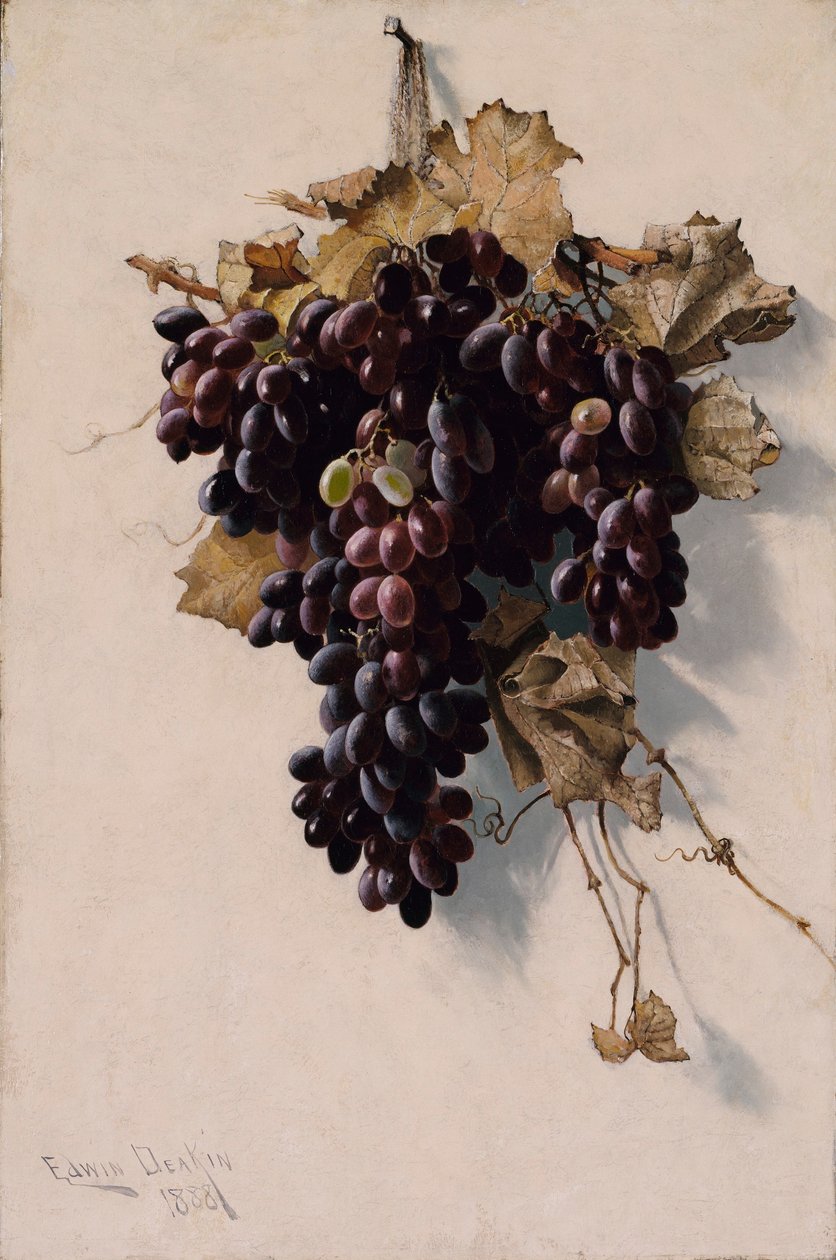 Martwa natura z winogronami autorstwa Edwin Deakin