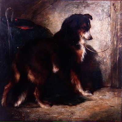 Owczarek collie autorstwa Edwin Douglas