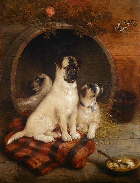 Żyj i ucz się autorstwa Edwin Frederick Holt