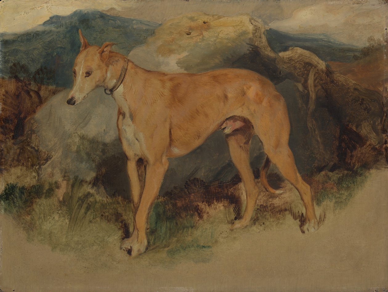 Deerhound, 1826. autorstwa Edwin Landseer
