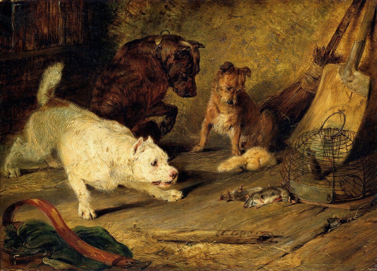 „Szczurołapy”, 1821 r. autorstwa Edwin Henry Landseer