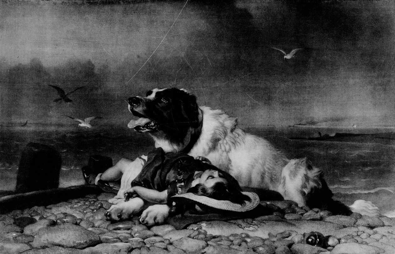 Uratowany!, c1856, 1911 autorstwa Edwin Landseer