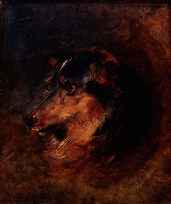 Badanie głowy psa collie autorstwa Edwin Landseer