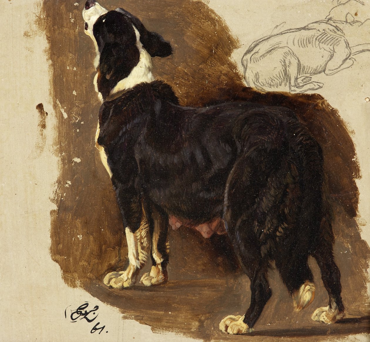Collie Bitch (olejek i ołówek na kartonie) autorstwa Edwin Landseer