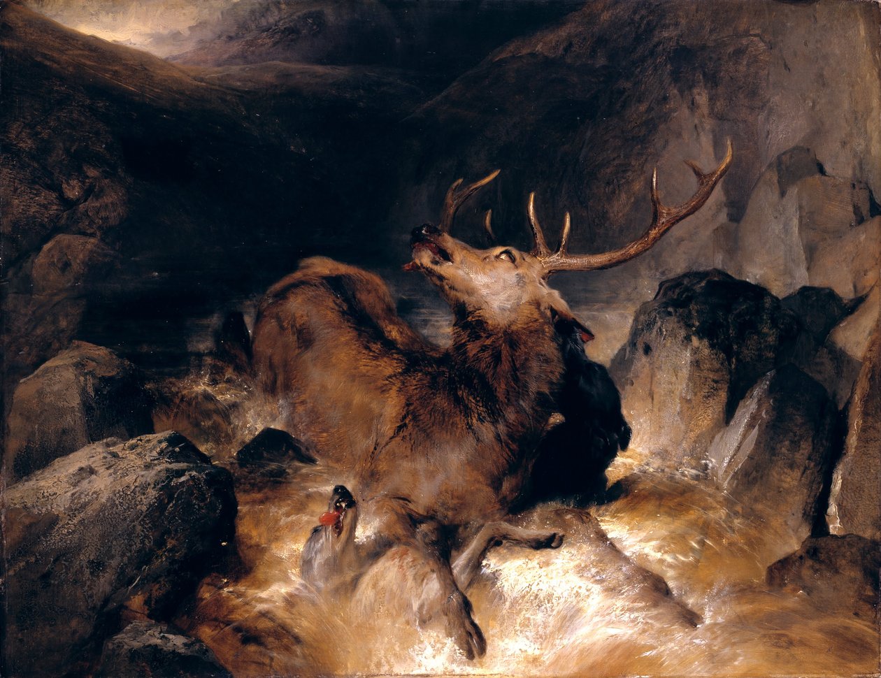 Jelenie i golenie w górskim potoku autorstwa Edwin Landseer