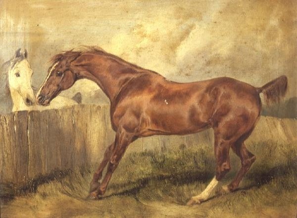 Marianna, ulubiona łowczyni autorstwa Edwin Landseer