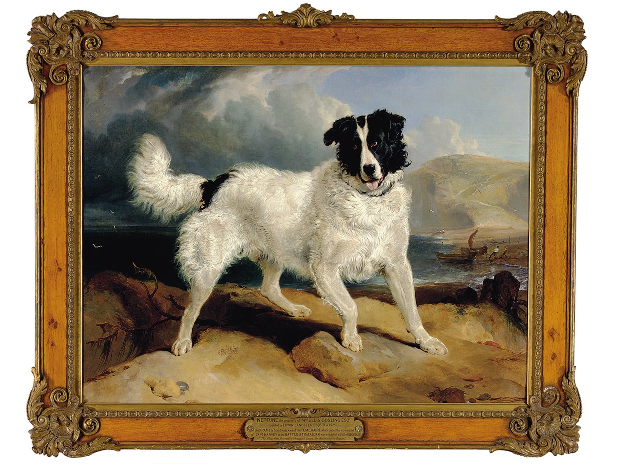 Neptun, własność Williama Ellisa Goslinga, Esq., 1824 autorstwa Edwin Landseer