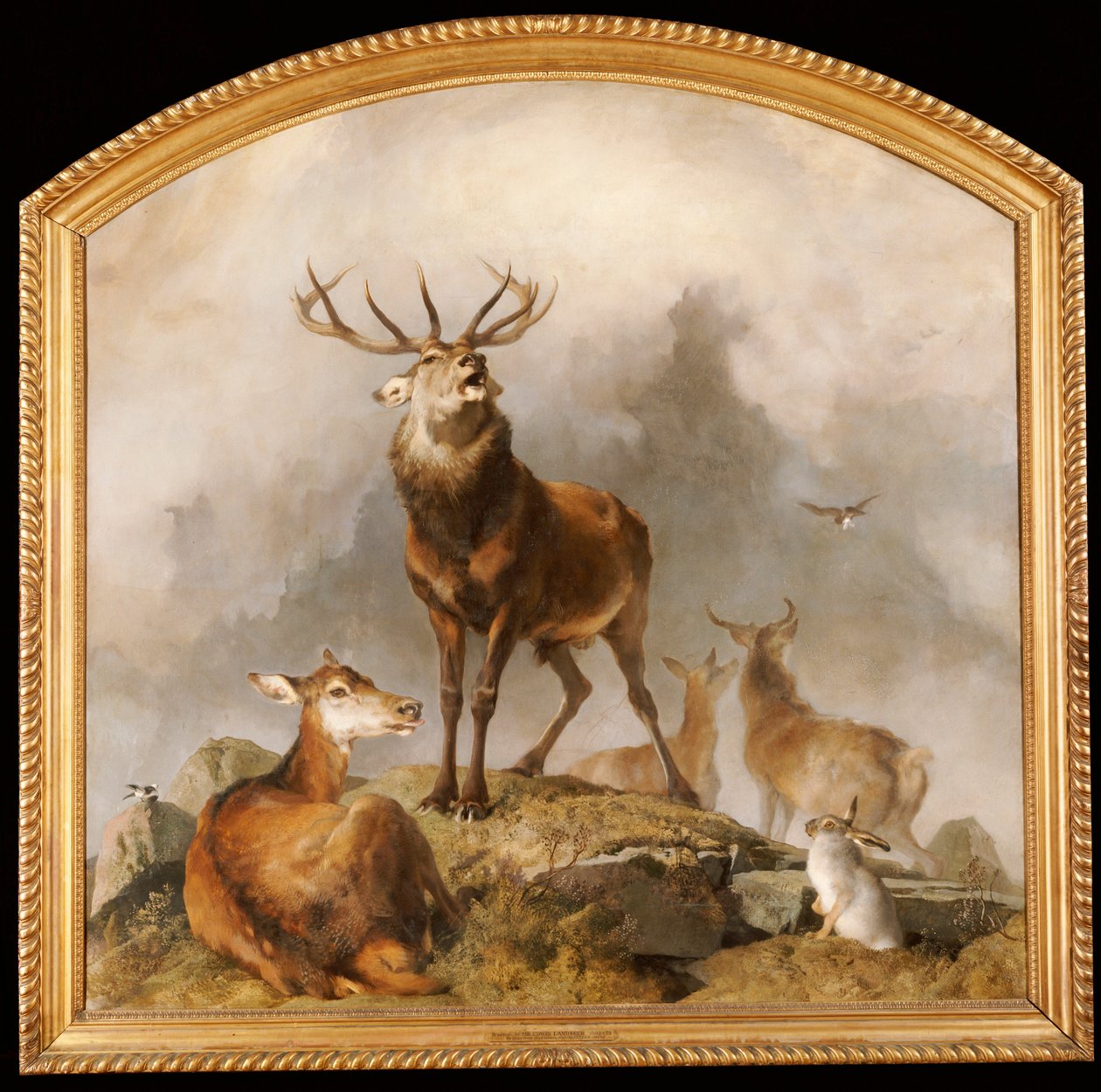Scena w Braemar - Highland Deer autorstwa Edwin Landseer