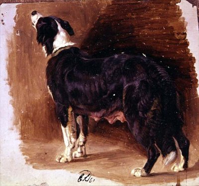 Szkic collie autorstwa Edwin Landseer