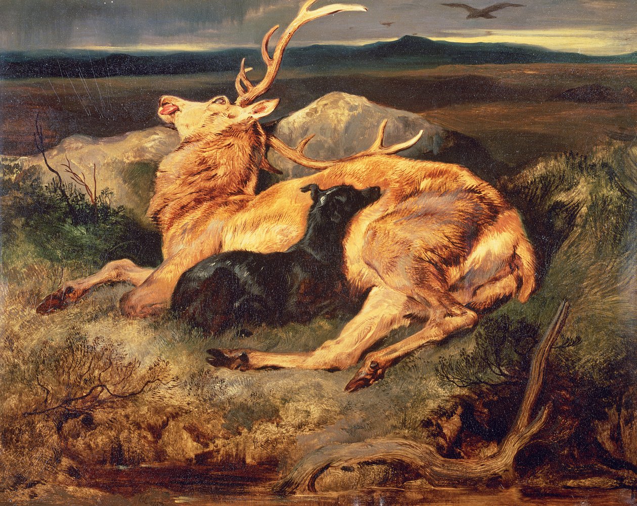 Jeleń autorstwa Edwin Landseer