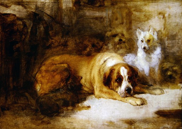 Studium psów (olej na ołówku na płótnie) autorstwa Edwin Landseer