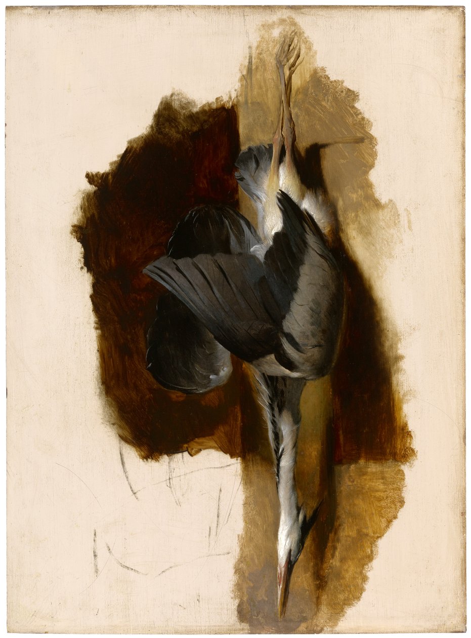 Studium martwej czapli, ok. 1832-33 autorstwa Edwin Landseer
