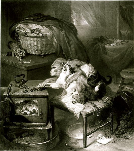 Kocia łapa (rycina) autorstwa Edwin Landseer