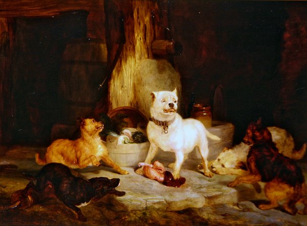 Król zamku (olej na desce) autorstwa Edwin Landseer