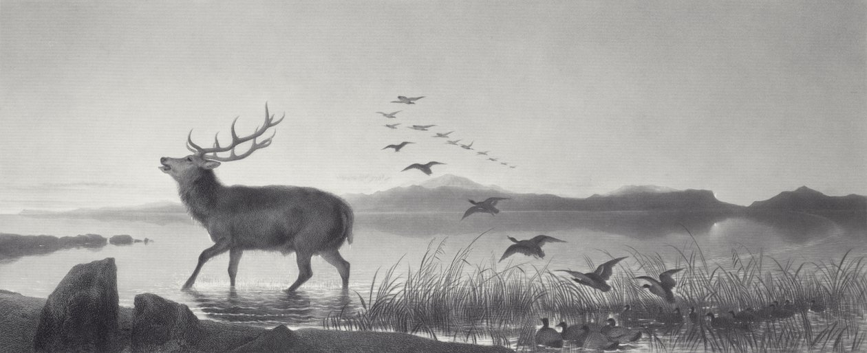 Ratunek autorstwa Edwin Landseer