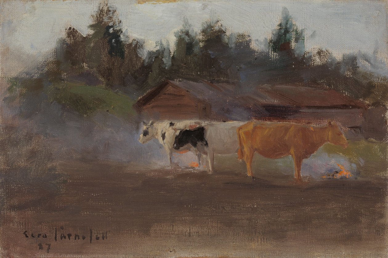 Krowy w „Turf Smoke” – badanie autorstwa Eero Järnefelt
