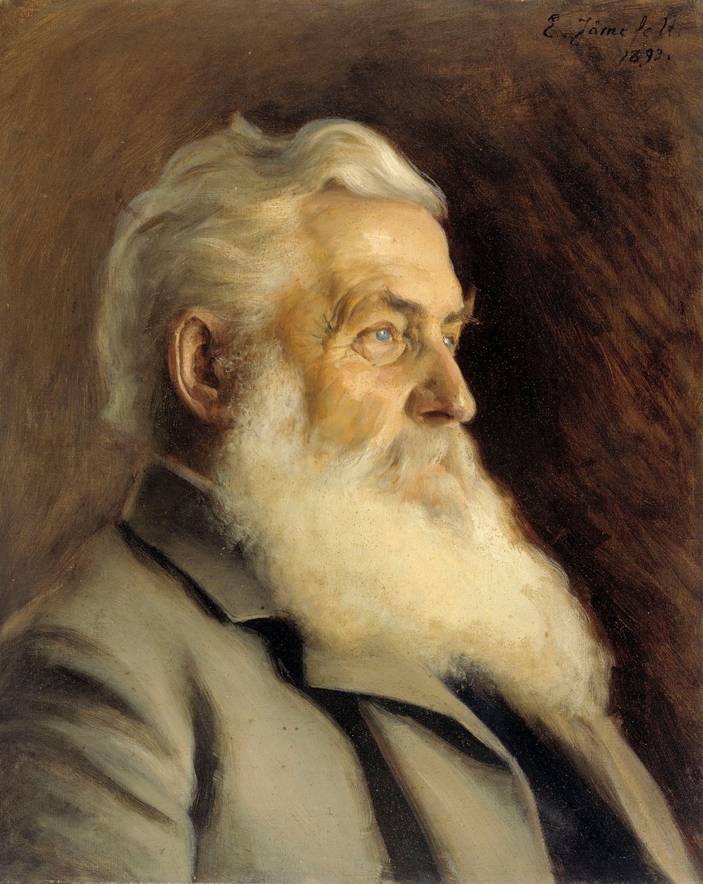 Portret pana Ahngera autorstwa Eero Järnefelt