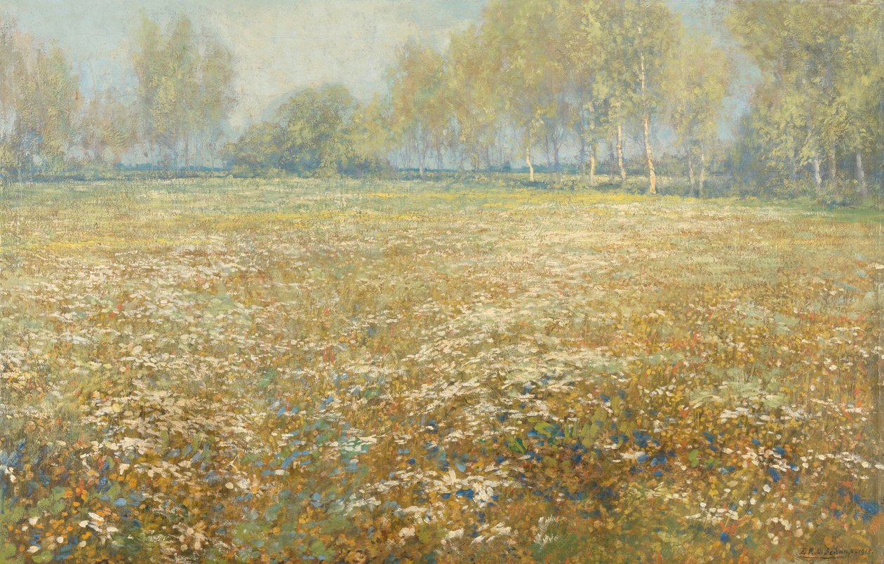 Łąka w Bloom autorstwa Egbert Schaap