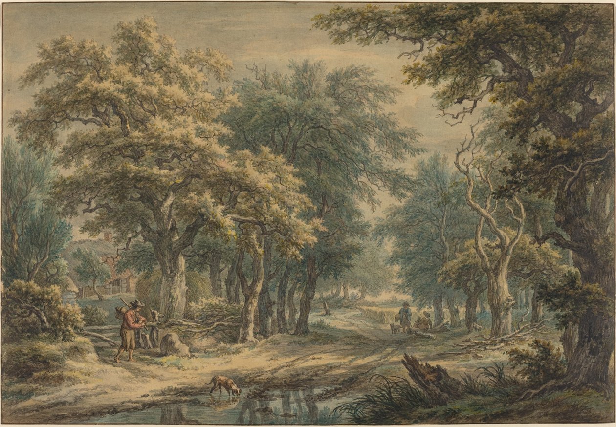 W Donderen, w lasach Drenthe autorstwa Egbert van Drielst