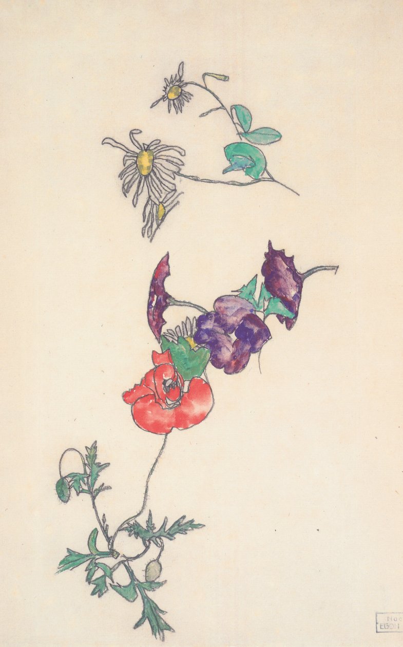 Stokrotki, wijące się i maki autorstwa Egon Schiele